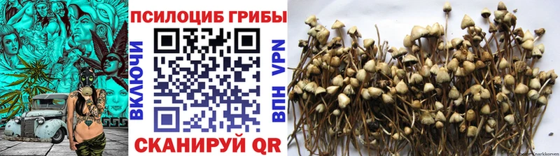 ОМГ ОМГ ССЫЛКА  Канаш  Галлюциногенные грибы прущие грибы 